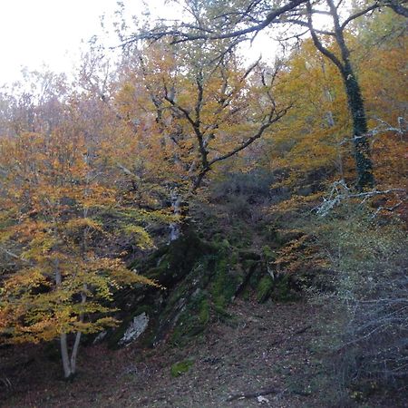 Alojamiento Rural Fuente Del Arca Pradena del Rincon Екстер'єр фото