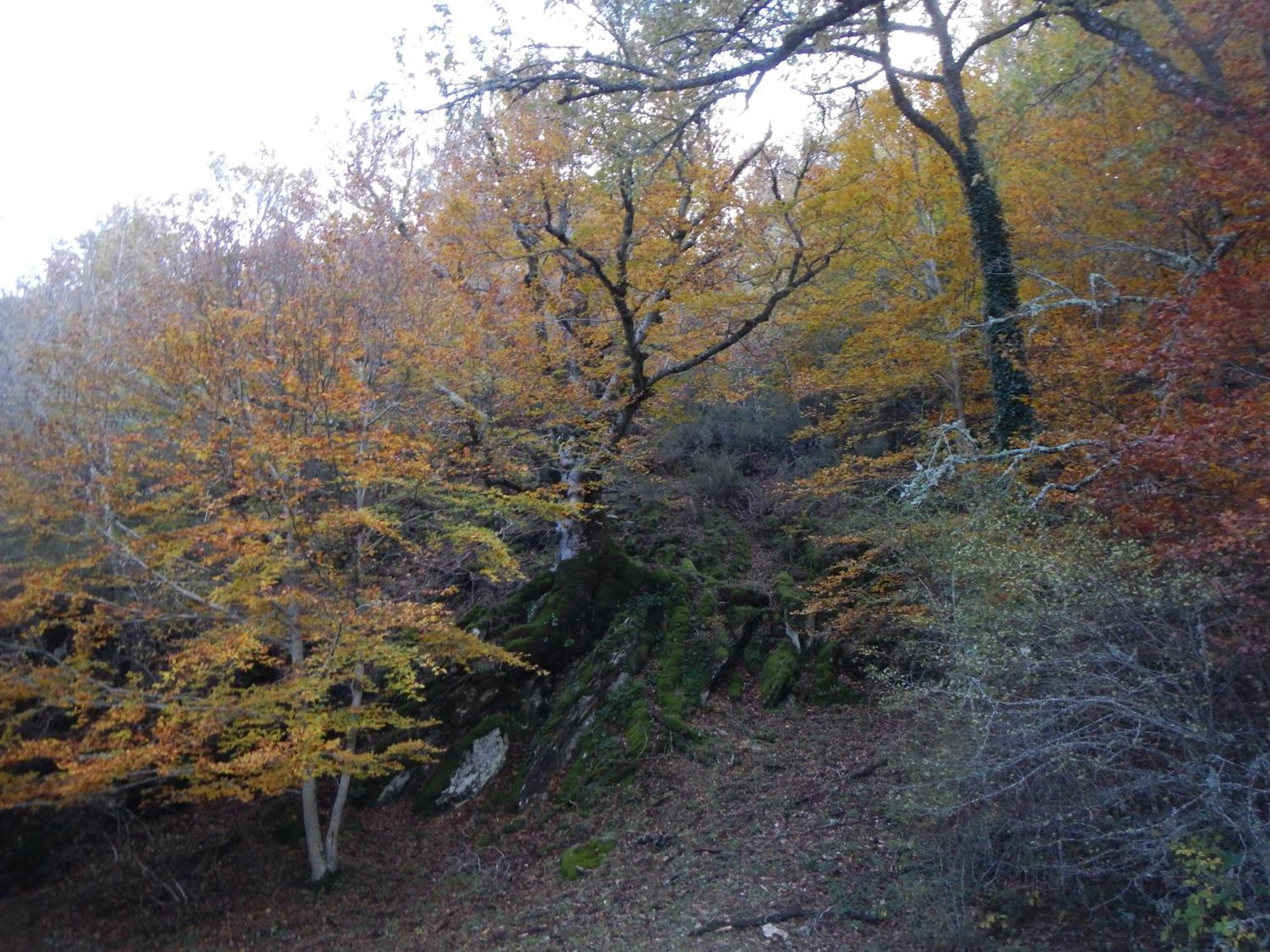 Alojamiento Rural Fuente Del Arca Pradena del Rincon Екстер'єр фото