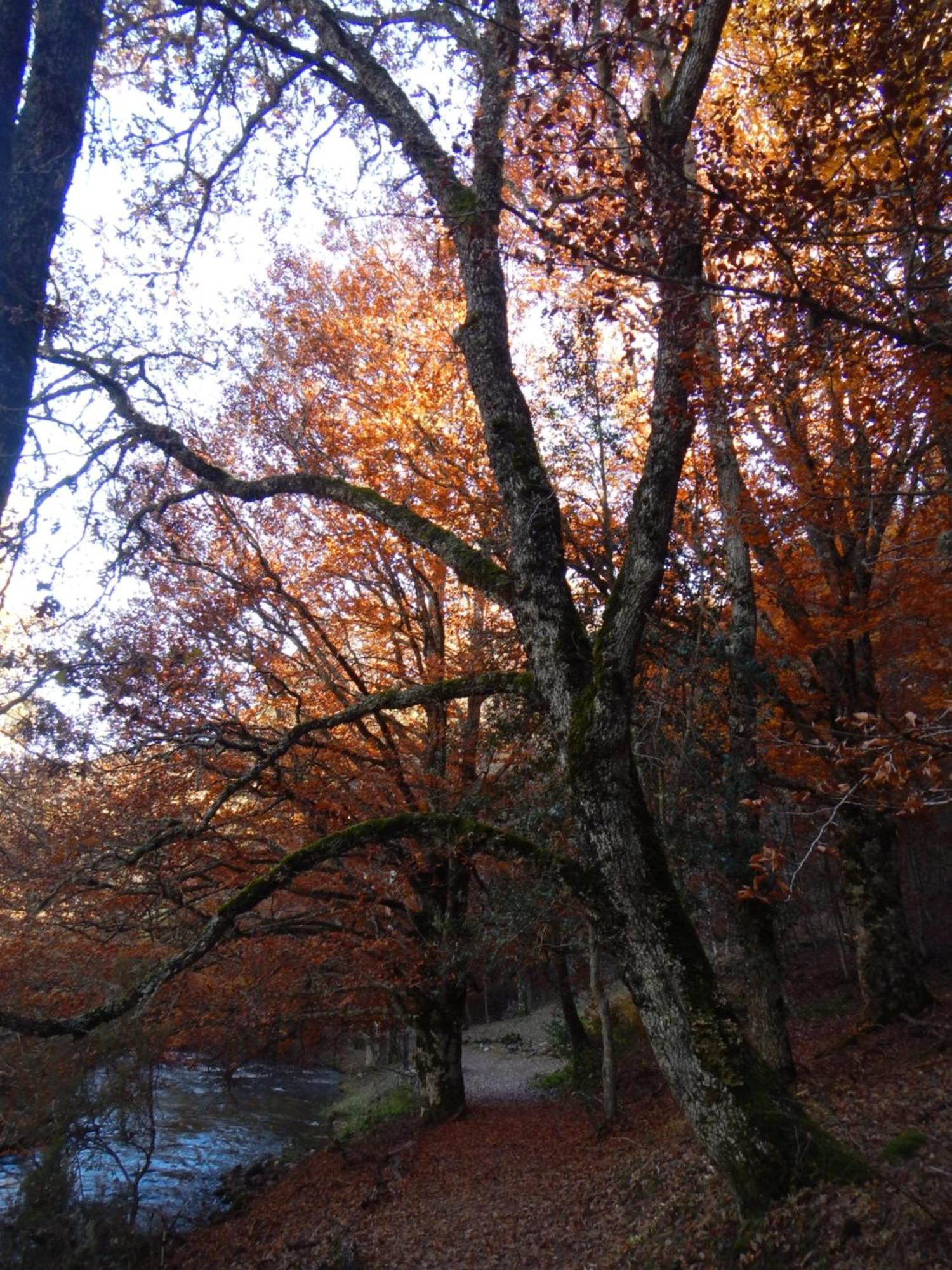 Alojamiento Rural Fuente Del Arca Pradena del Rincon Екстер'єр фото